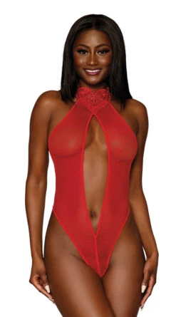 Dreamgirl Sheer Sensuality Teddy