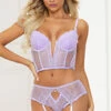 Longline Flirt Gartered Bra Set